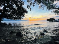 -宝安西湾红树林湿地公园