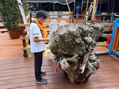 -蓝湾碧波·老字号·疍家非遗海上餐厅
