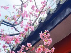 -宝墨园景区