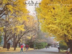 -北海道厅旧本厅舍(旧本庁舎)