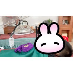 -功夫手三分钟小儿推拿(厚街旗舰店)