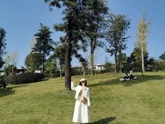 -枫香湖儿童公园