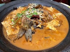 得莫利炖鱼-金掌勺锅包肉(华润万象城店)