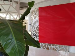 -莫内艺术岛海景咖啡