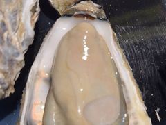 -517烧烤·龙虾·海鲜大排档(万象都荟店)