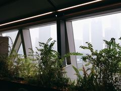 -柿合缘新京菜(国金中心商场店)