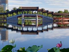 -西海子公园