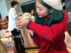 -藦茜花园宠物主题亲子互动体验馆(国顺东路店)