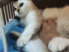 -联合动物医院(光谷诊疗中心)