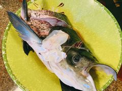 -好灶头妈妈菜·千岛湖柴火鱼餐厅(桐庐店)