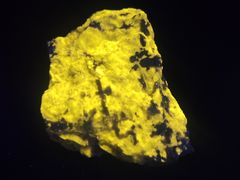 -济南大明湖景区