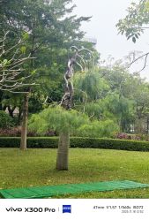 点击看大图 -深圳市儿童乐园