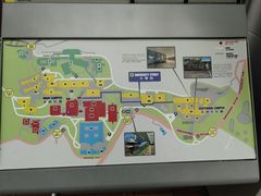 -香港大学