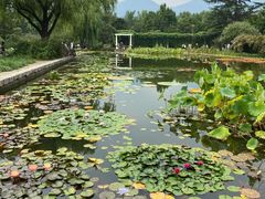 -国家植物园南园