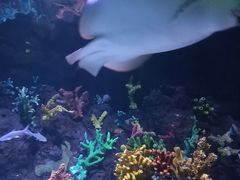 -台州海洋世界