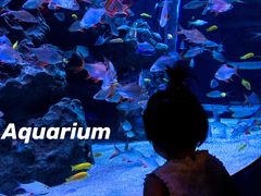 -成都浩海立方海洋公园