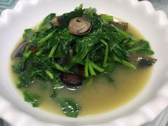 上汤豆苗-金米箩大酒店(五角场店)