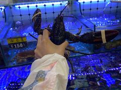 -日照大牌檔•小船海鲜(万平口店)