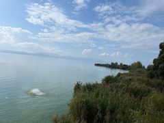 -捞渔河湿地公园