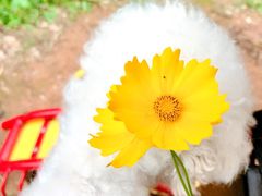 -青龙山国家森林公园