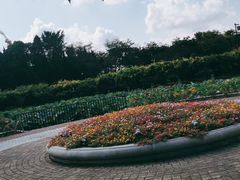 -嘉定紫藤园