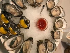 -Oyster Talks 四度蚝法餐厅
