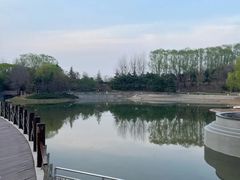 -大望京公园