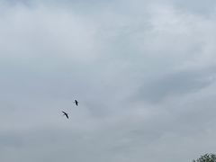 -西安浐灞国家湿地公园