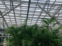 -融汇温泉
