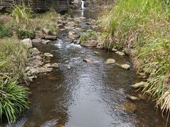 -梁野山景区