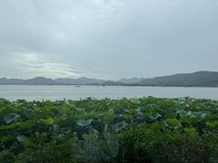 -湖畔居茶楼(湖滨店)