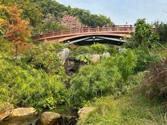 -云溪植物园