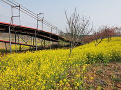 -绵阳盛世樱花悠乐谷