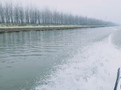 -洪湖生态旅游区