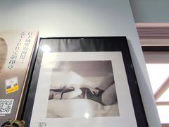 -浣熊唱片店(上海影城店)