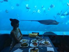 -瑞德姆美人鱼海底演艺主题餐厅(亚龙湾店)