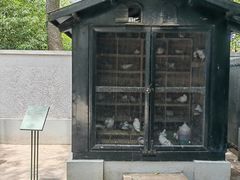 -上海宋庆龄故居纪念馆
