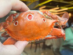 -大中华希尔顿酒店 念 全日制自助餐厅·亲子·聚餐