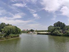 -莲花池公园