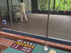 -野象谷景区