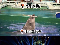 -威海华夏城景区