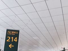 -郑州新郑国际机场-T2航站楼