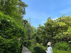 -燕晗山郊野公园