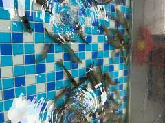 -养牛邓·潮汕牛肉海鲜自助火锅(广州店)