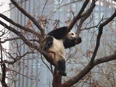 -北京动物园