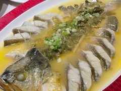 -圆苑(静安寺店)