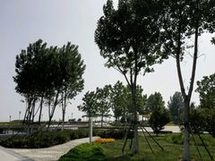 -东疆建设开发纪念公园