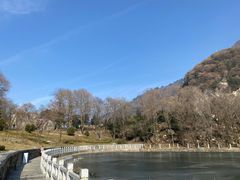 -秦岭终南山世界地质公园翠华山景区