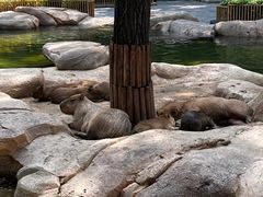 -北京野生动物园