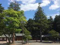 -北海道神宫